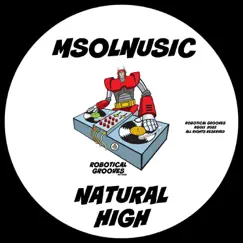 Natural High - Single by Msolnusic album reviews, ratings, credits