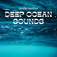 Ocean Underwater Sound Song Lyrics