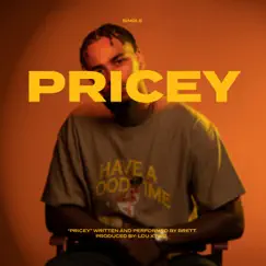 Pricey - Single by Brett album reviews, ratings, credits