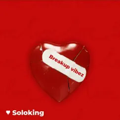 Breakup Vibez - Single by Soloking album reviews, ratings, credits