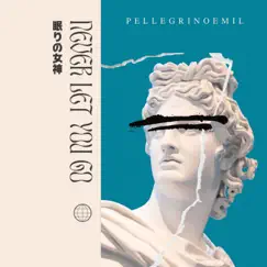 Never Let You Go - Single by Pellegrinoemil album reviews, ratings, credits