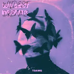 Wildest Dreams Song Lyrics