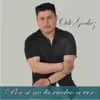 Por Si No la Vuelvo Aver - Single album lyrics, reviews, download