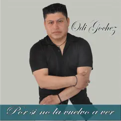 Por Si No la Vuelvo Aver - Single by Odi Gochez album reviews, ratings, credits