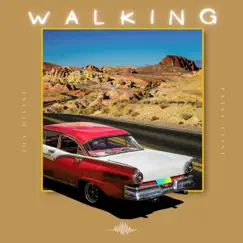 Walking - Single by IDA DIVINE album reviews, ratings, credits