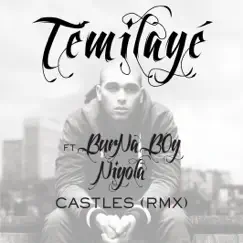 Castles (feat. Burna Boy & Niyola) [Remix] - Single by Temilaye album reviews, ratings, credits