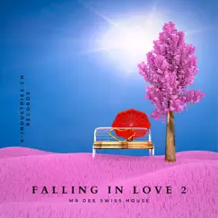 Falling In Love 2 by Mr Dee Swiss House album reviews, ratings, credits