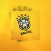 SELECÃO BRASILEIRA O BRASIL QUE VAI GANHAR A COPA DO MUNDO MUSICA DO BRASIL - Single album lyrics, reviews, download