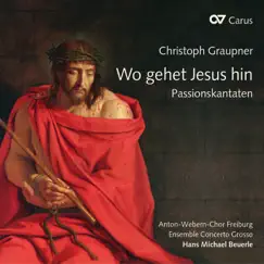 Wo gehet Jesus hin, GWV 1119/39: IV. Das Fleisch ist leider blind Song Lyrics