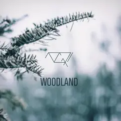 Woodland - Single by 10GRI album reviews, ratings, credits