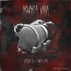 Aguanta Vara - Single by Versus TR & Turek Hem album reviews, ratings, credits