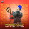 Pasiao - Single album lyrics, reviews, download