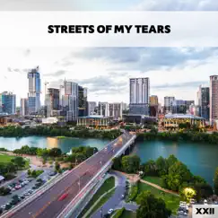 Streets Of My Tears XXII by Various Artists album reviews, ratings, credits