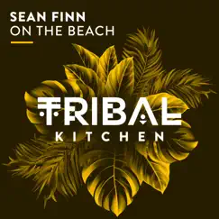 On the Beach (Radio Edit) - Single by Sean Finn album reviews, ratings, credits