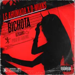Bichota (feat. D-mian$) - Single by LS Ahumada album reviews, ratings, credits