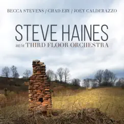 Steve Haines and the Third Floor Orchestra (feat. Becca Stevens, Chad Eby & Joey Calderazzo) by Steve Haines and the Third Floor Orchestra album reviews, ratings, credits