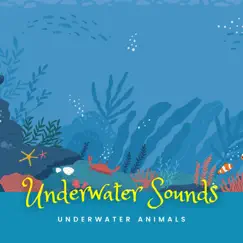 Soothing Underwater Sound Song Lyrics