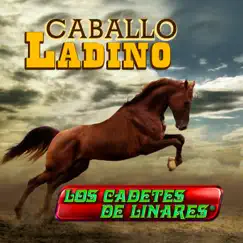 Caballo Ladino by Los Cadetes De Linares album reviews, ratings, credits