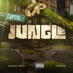 Jungle (feat. Paedro) - Single by Quann Gotti album reviews, ratings, credits