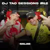 SALAS DJ TAO Turreo Sessions #12 - Single album lyrics, reviews, download