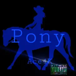 Pony - Single by Ace4k album reviews, ratings, credits