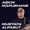 Aşkın Mapushane - Single album lyrics, reviews, download