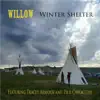 Winter Shelter (feat. Tracey Armour & Paul Cheoketen) - Single album lyrics, reviews, download