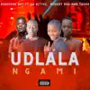 UDLALA NGAMI (feat. DJ Active, Beekay Rsa & Tasha) - Single album lyrics, reviews, download