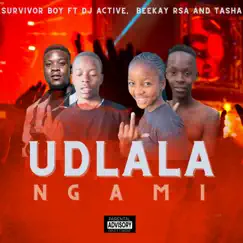 UDLALA NGAMI (feat. DJ Active, Beekay Rsa & Tasha) - Single by Survivor Boy album reviews, ratings, credits