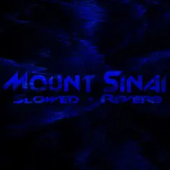 Mount Sinai (Slowed + Reverb) Song Lyrics