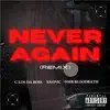 Never Again (Remix) - Single album lyrics, reviews, download