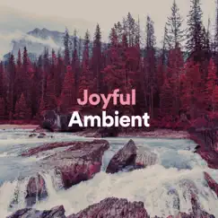 Joyful Ambient by Reiki Healing Consort, Reiki Tribe & Meditation Music album reviews, ratings, credits