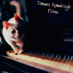 Feline - Single by Tomasz Kowalczyk album reviews, ratings, credits