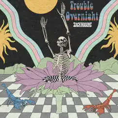 Trouble Overnight - Single by Zach Nugent album reviews, ratings, credits