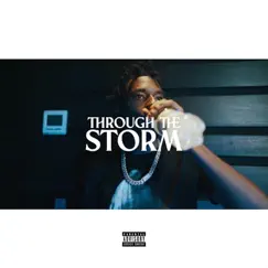 Through the Storm - Single by Smoove'L album reviews, ratings, credits