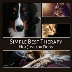 Simple Best Therapy Not Just for Dogs: Calm Down Your Pet, Cat or Other Animal, Deep Relaxation for Your Pupils, Stress Reduction, Fight Anxiety, Nature Sounds for Dog Comfort & Sleep by Pet Care Club album reviews, ratings, credits