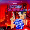 Got Them Soundz, Vol. 2 (Instrumental) album lyrics, reviews, download