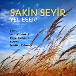 Dalgalı Haller (feat. Çağrı Çetinsel) Song Lyrics