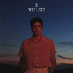 Too Late - Single by Washed Out album reviews, ratings, credits