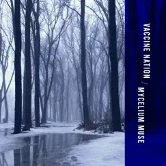 Vaccine Nation / Mycelium Muse by Thomas Delisle & Acephali album reviews, ratings, credits