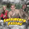 Sofrimento Passou - Single album lyrics, reviews, download