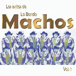 Los Éxitos De La Banda Machos, Vol. 1 by Banda Machos album reviews, ratings, credits