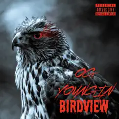 Bird View - Single by OGY NO LIE album reviews, ratings, credits