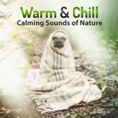 Warm & Chill: Calming Sounds of Nature, Hypnotic Ambient Music, Ocean Waves, Chirping Birds by Relaxing Nature Sounds Collection album reviews, ratings, credits
