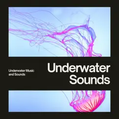 Underwater Sounds Without Getting Wet by Underwater Music and Sounds, Whales & Nature Lab album reviews, ratings, credits