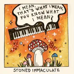 I Mean, That's What I Mean, You Know What I Mean? - EP by The Stoned Immaculate album reviews, ratings, credits