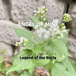 Angel of Mine - Single by Legend of the Birria album reviews, ratings, credits