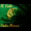 Palm Shores - Single album lyrics, reviews, download