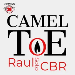 Camel Toe (Radio Mix) Song Lyrics