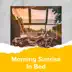 Morning Sunrise In Bed album cover